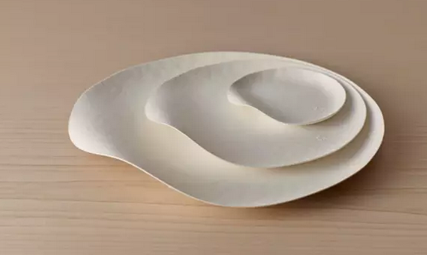 一次性餐具竟然美得像藝術(shù)品?。?）.png